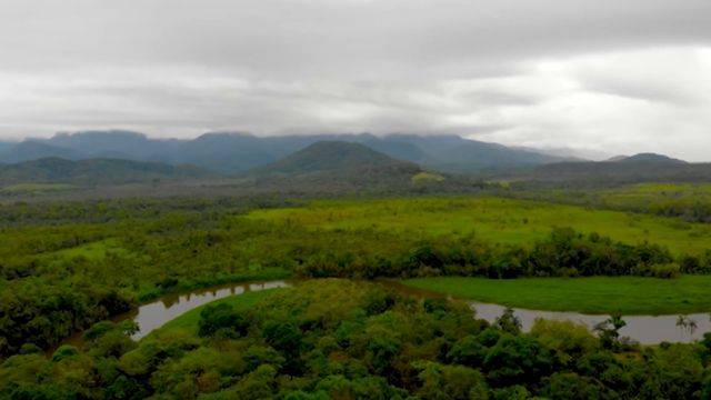Programa de Regularização Ambiental: medida provisória altera prazos. Saiba mais