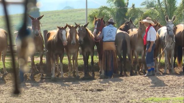 Treinamento na fazenda: 3 dicas para melhorar a capacitação de funcionários