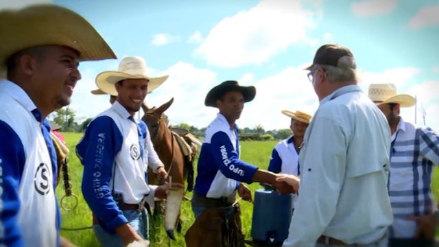 Cargo de liderança na fazenda: confira as dicas para quem assume função pela 1ª vez