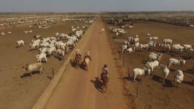 Estas três dicas vão ajudar a encontrar uma vaga de trabalho no campo