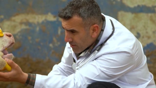 Médico veterinário é herói na luta contra mais de 250 doenças na agroindústria