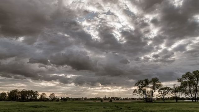 Umidade do solo: saiba como estão os níveis em áreas de pasto pelo País