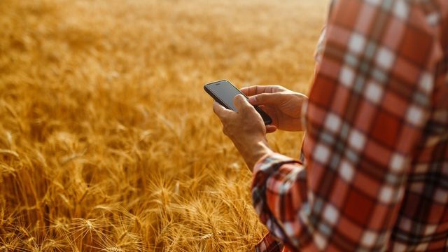 Vagas de trabalho: App de celular informa oportunidades de emprego no campo