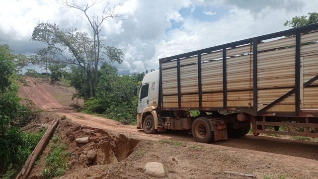 Carreta boiadeira na estrada. Foto: Divulgação