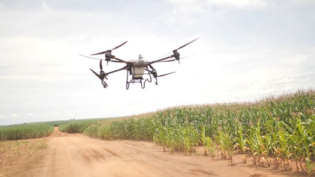 Drone já semeia a pastagem numa das fazendas mais tecnificadas da América Latina