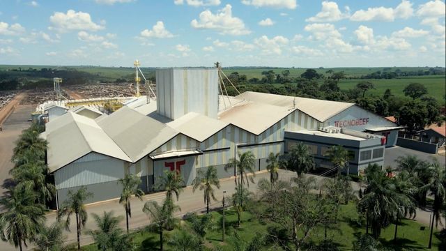 Conheça a dieta sob medida que alimenta mais de 1 milhão de bovinos no Brasil