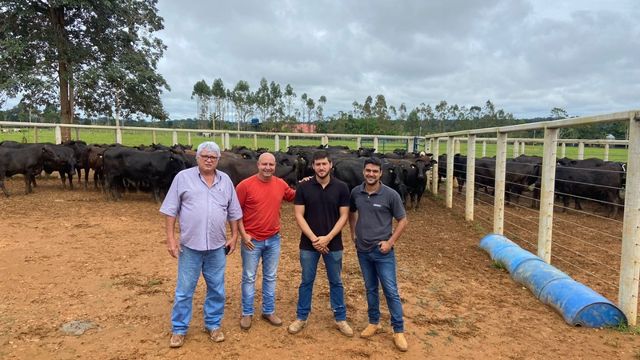 (Da esq. para dir.) Tião, Ademir, o pecuarista Vinicius e o dr. Ruiter da Rural X, empresa do grupo Axia, e sócio do Ademir um dos responsáveis pelas inseminações. Foto: Divulgação