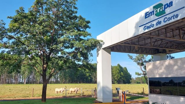 Fachada a sede da Embrapa Gado de Corte, em Campo Grande (MS). Foto: Rodrigo Alva/Embrapa Gado de Corte