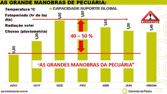 Quadro sobre a evolução da capacidade de suporte global do pasto ao longo do ano. Foto: Reprodução