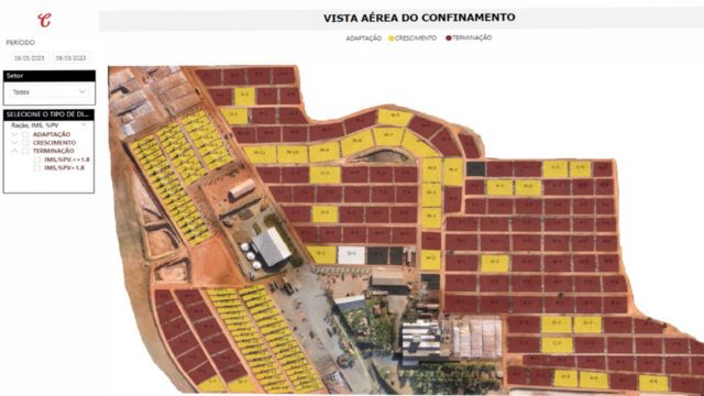 Gráfico faz a leitura do confinamento em tempo real. Foto: Reprodução