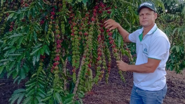 O produtor trabalha com lavoura de café desde 1998. Foto: Matheus Roz