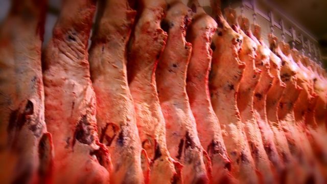 Carcaças de bovinos com destipo a exportação. Foto: Divulgação