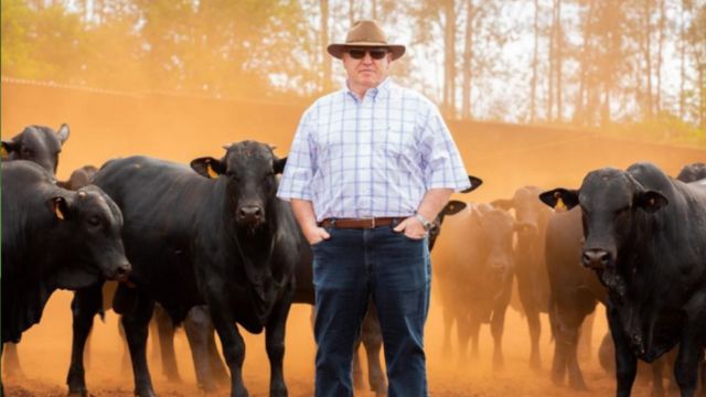 Com meio século de legado, produtor é pioneiro na raça Angus e ILP em MS