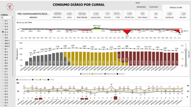 Gráfico gerado pela ferramenta de B.I. no Confinamento Campanelli. Foto: Reprodução