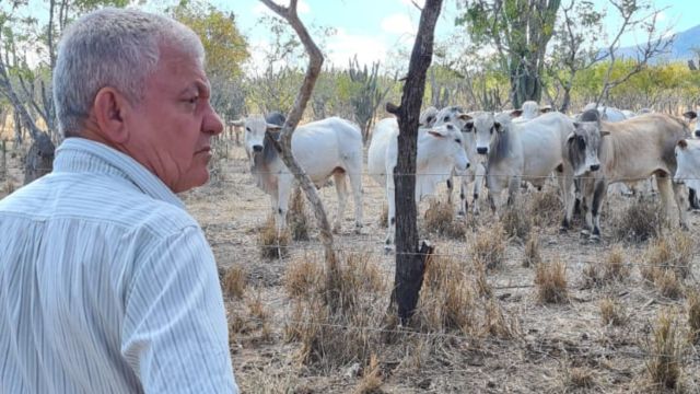 Pecuarista é destaque na engorda do zebu no semiárido baiano