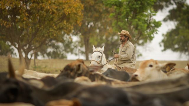 Produtor lá fora vê o fazendeiro brasileiro com muito orgulho. Saiba o porquê disso