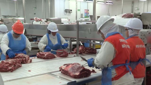 Trabalhadores em unidade frigorífica da Friboi. Foto: Reprodução