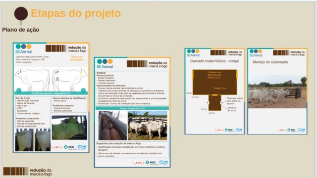 Pecuaristas falam das vantagens da redução da marca a fogo no rebanho