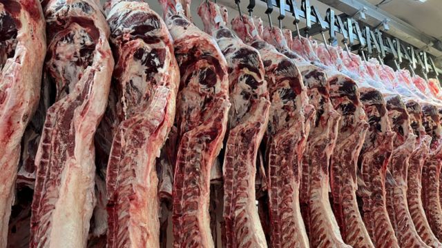 Ciência comprova: boi castrado possui carne melhor que de boi inteiro