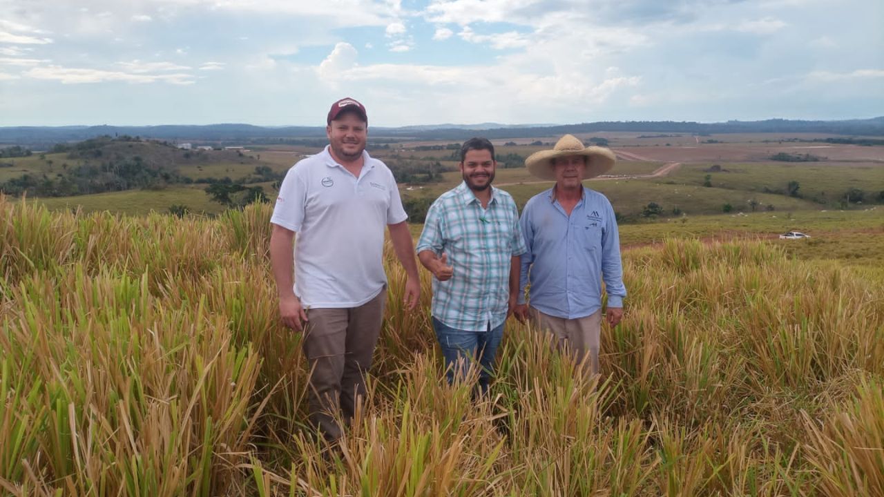 Pecuarista de MT abre as porteiras da fazenda e mostra como termina 4,8 mil bois por ano