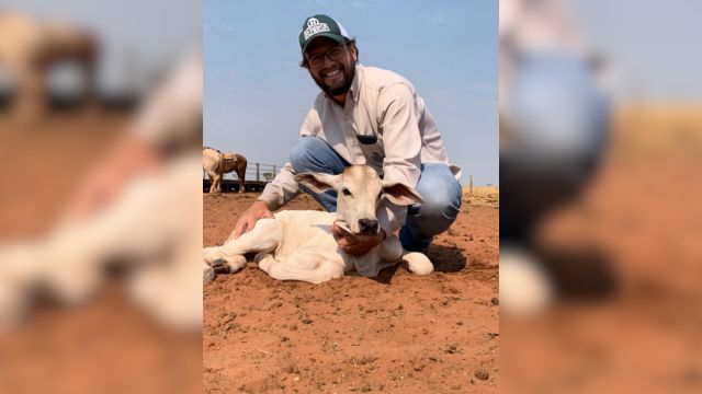 Detalhe de tratamento diferenciado com os bezerros na Beabisa. Foto: Facebook/Beabisa