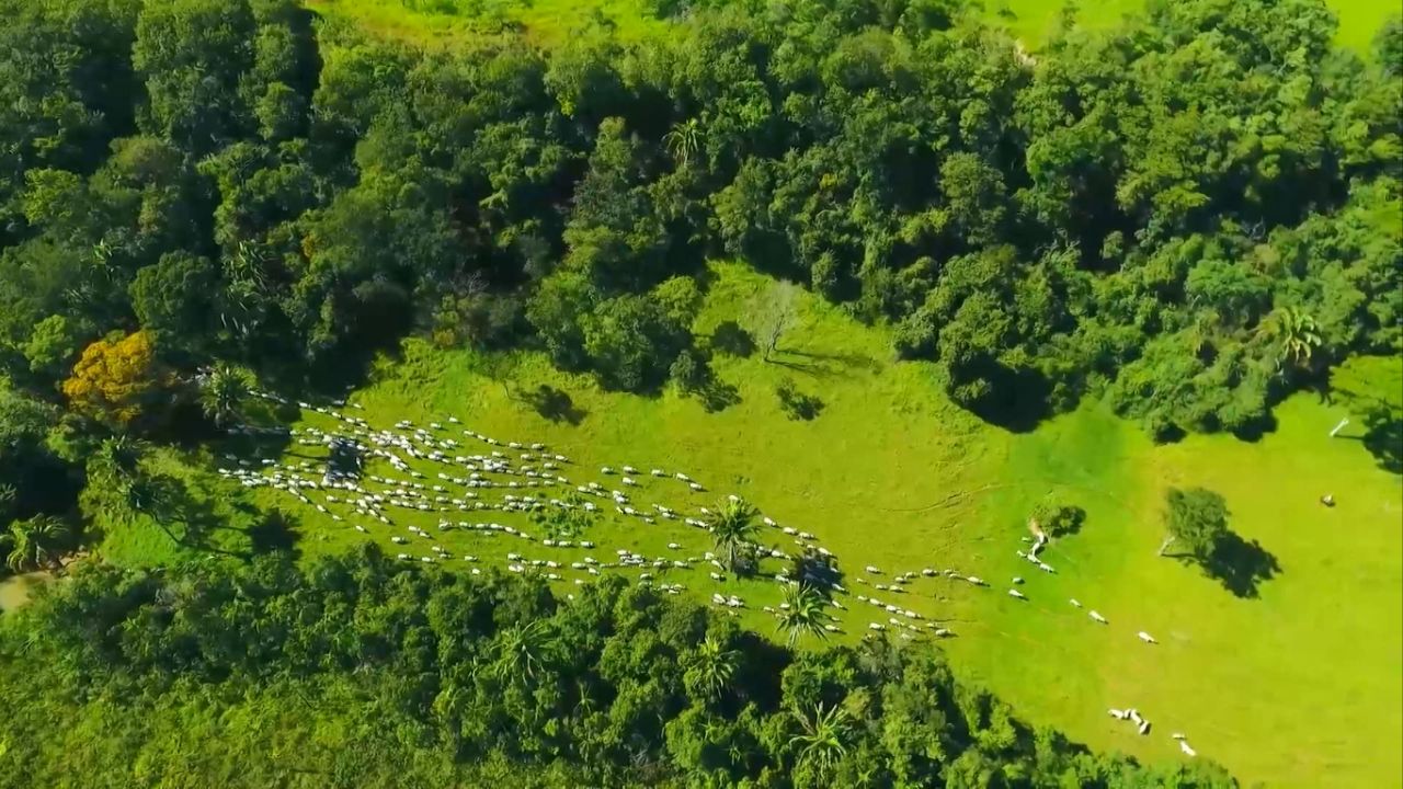 Escritório Verde no Acre ajuda positivar metade das 180 fazendas atendidas