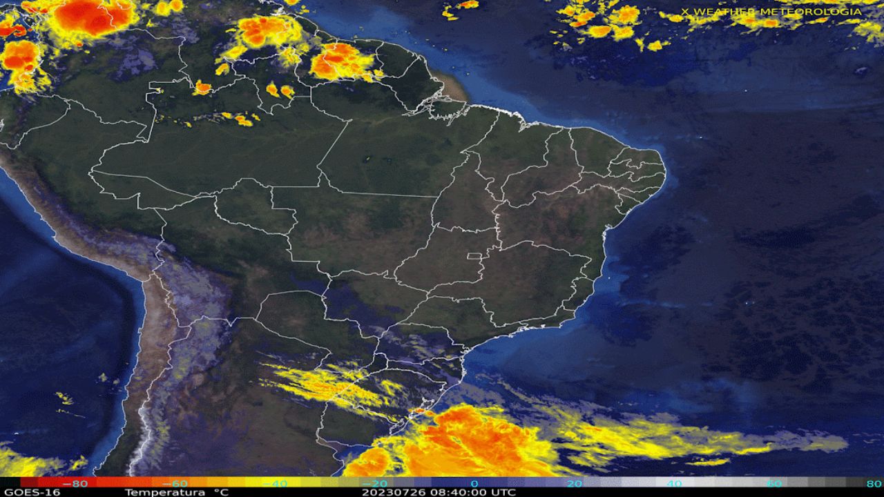 Chuvas acima de 100 milímetros no pasto? Saiba onde isso ocorre Chuvas acima de 100 milímetros no pasto? Saiba onde isso ocorre
