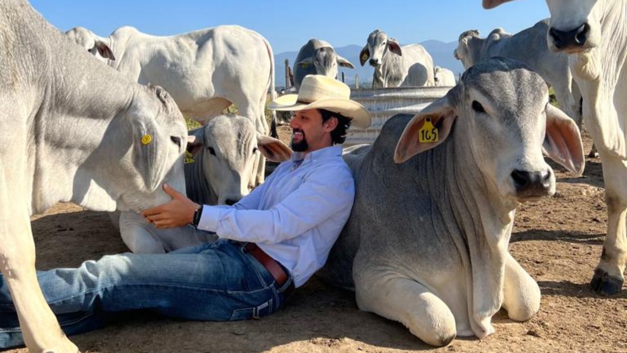 Pecuarista revela os segredos para terminar boiada com 20@ até 18 meses