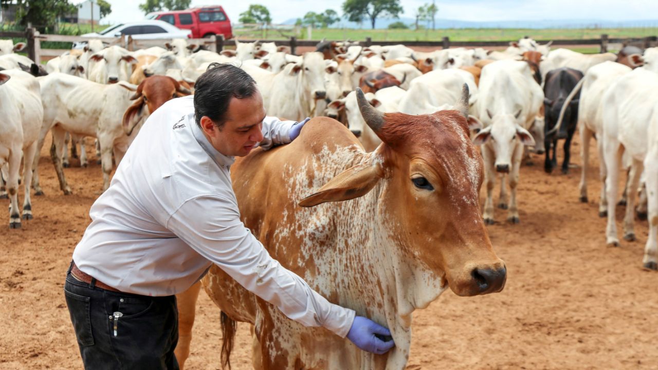 Antiparasitários tradicionais e pioneiros do mercado brasileiro ganham cara nova