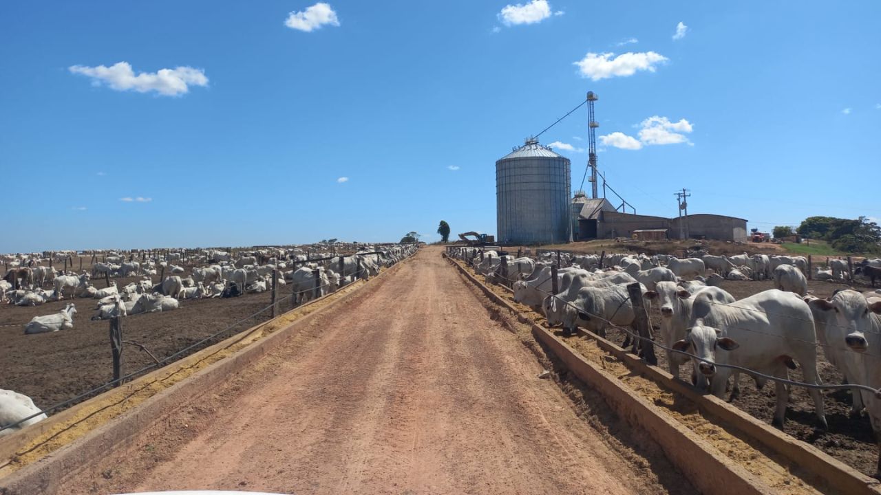Estrutura do Confinamento São Luiz. Foto: Divulgação