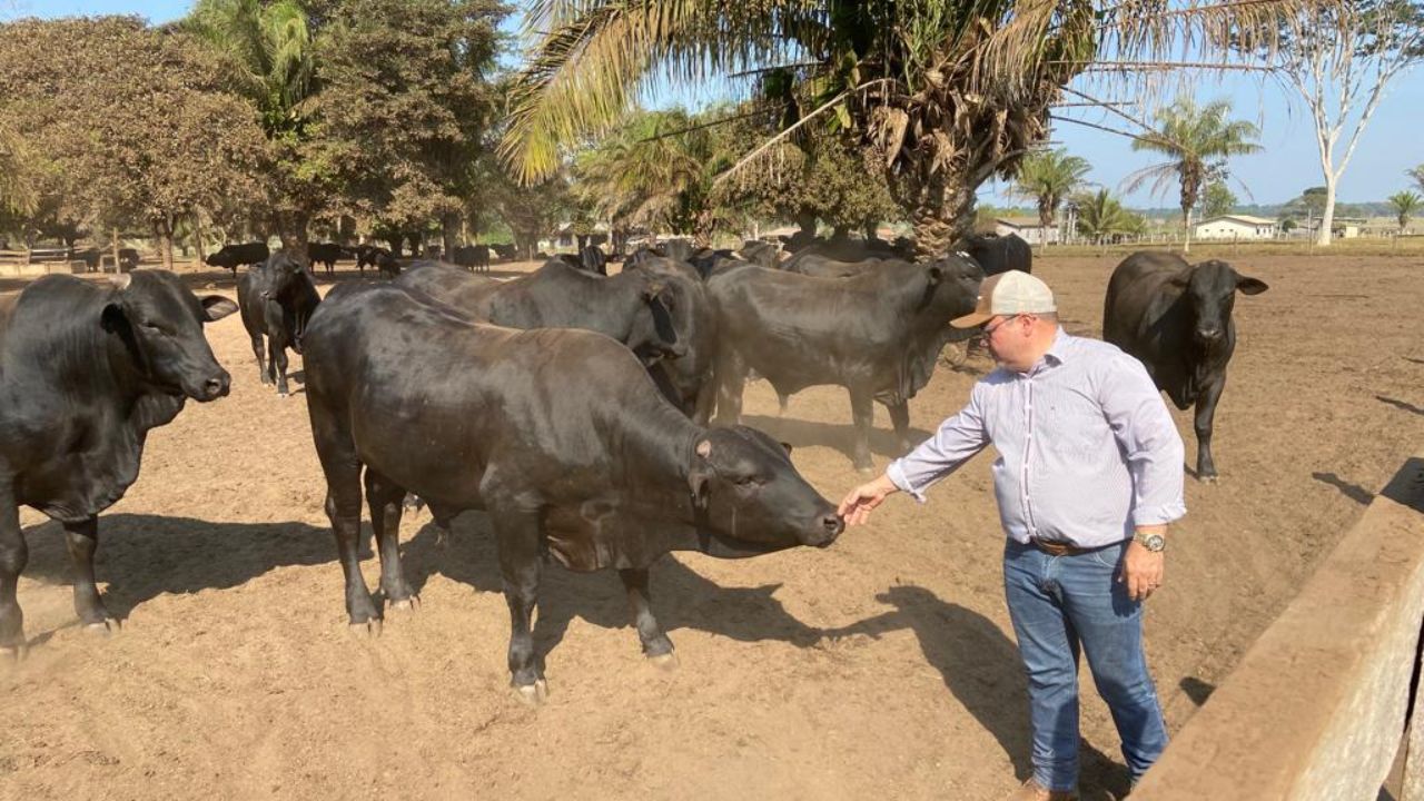 Bem-estar animal faz gado “de refugo” chegar a 24@ e boiada top a mais de 26@ em RO