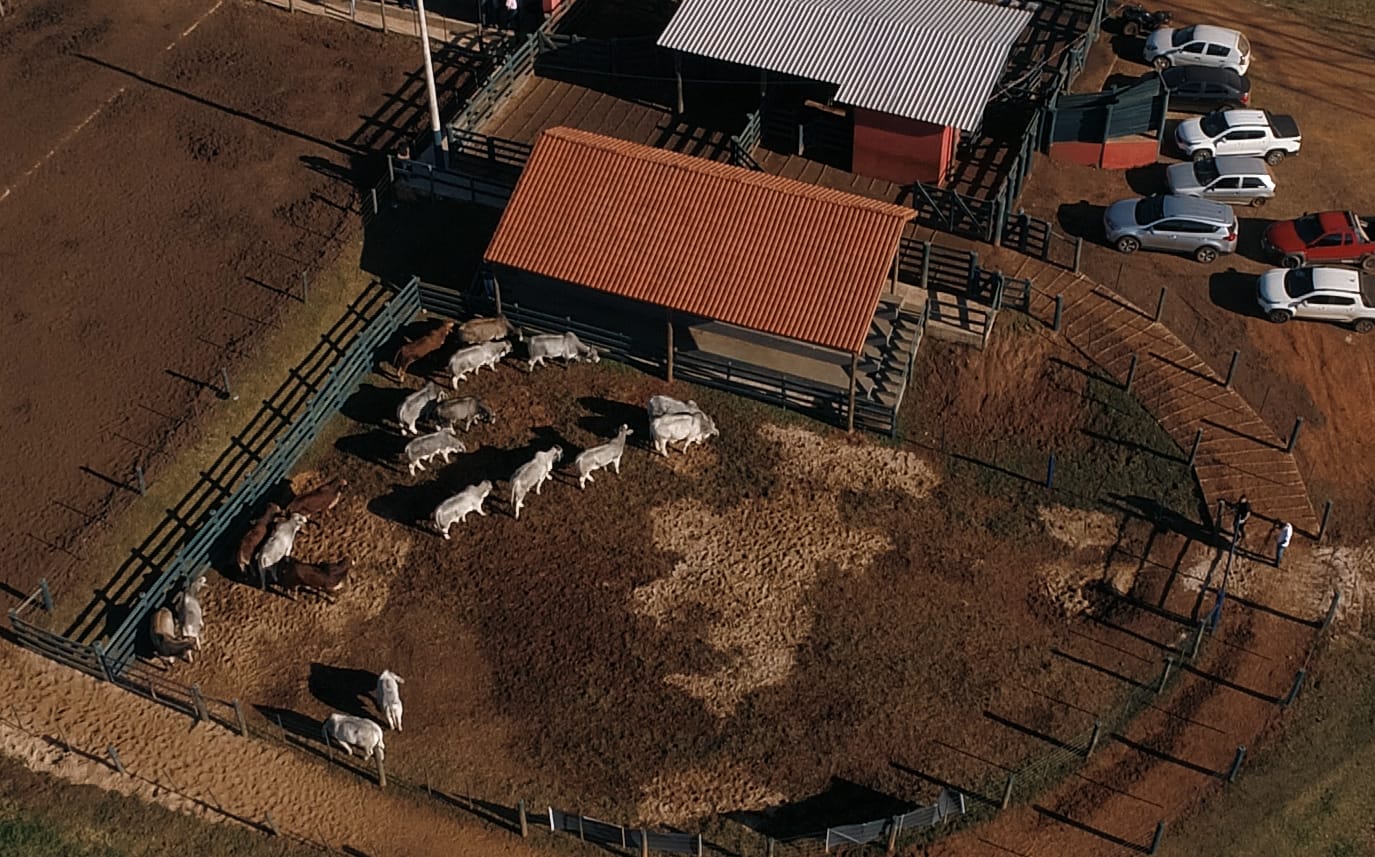 Vista aérea durante a 3ª Prova de Eficiência e Performance Brahman/BoicomBula. Foto: Divulgação