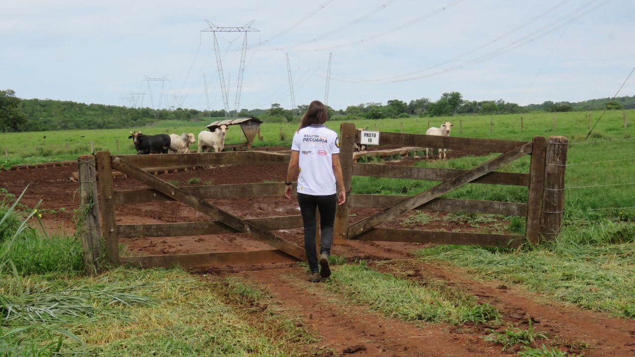 Técnica de campo durante a avaliação de fazendas no Rally da Pecuária. Foto: Divulgação/Rally da Pecuária