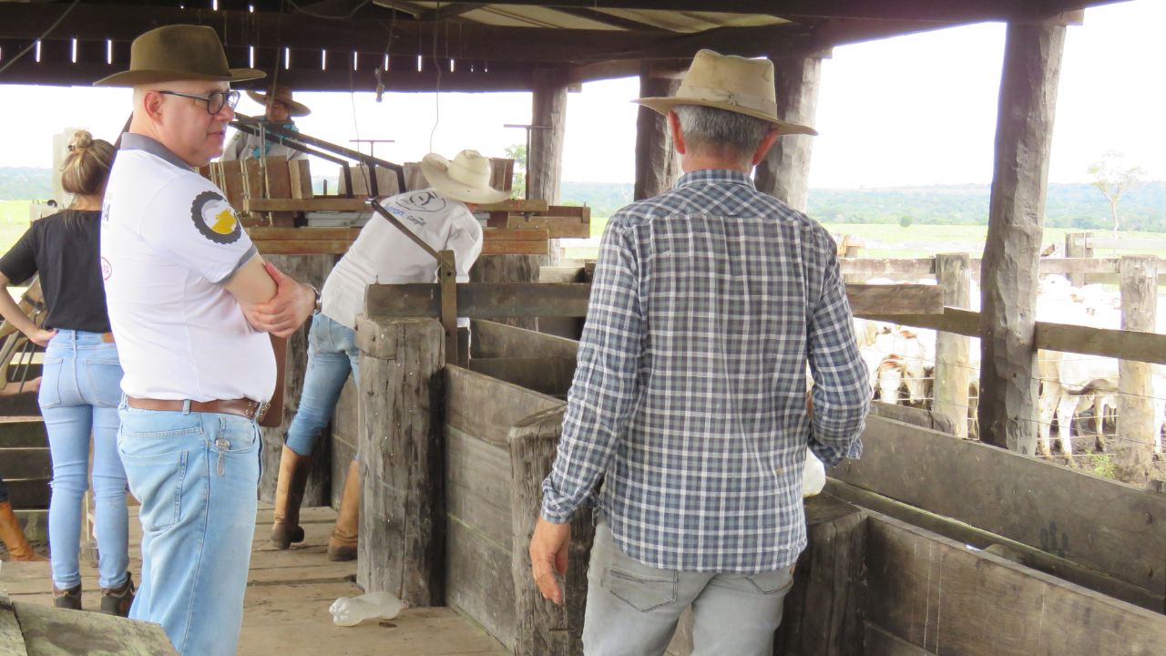 Maior aporte tecnológico faria Brasil produzir a demanda de carne bovina no mundo