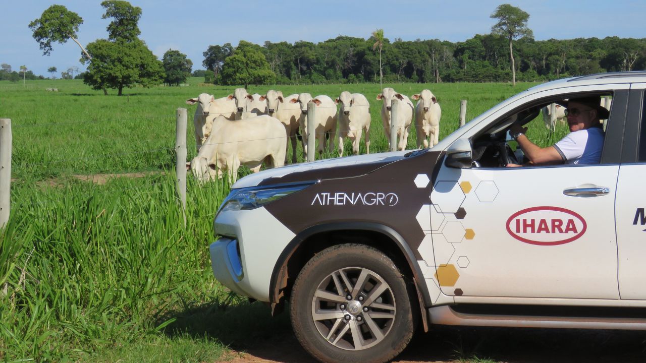 Avaliação de rebanho de bovinos em área de pastagem. Foto: Divulgação/Rally da Pecuária