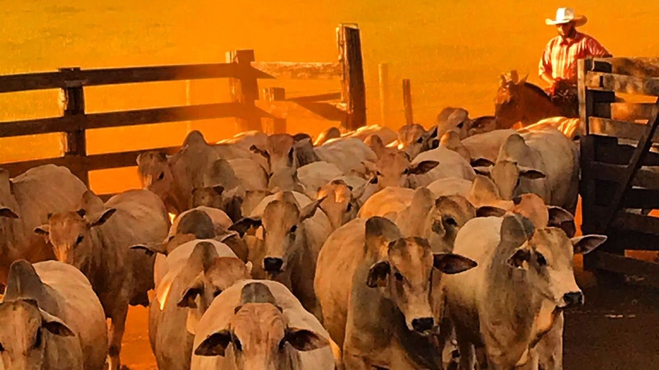 Desafios na fazenda: como enfrentar um período de menos chuvas com o El Niño