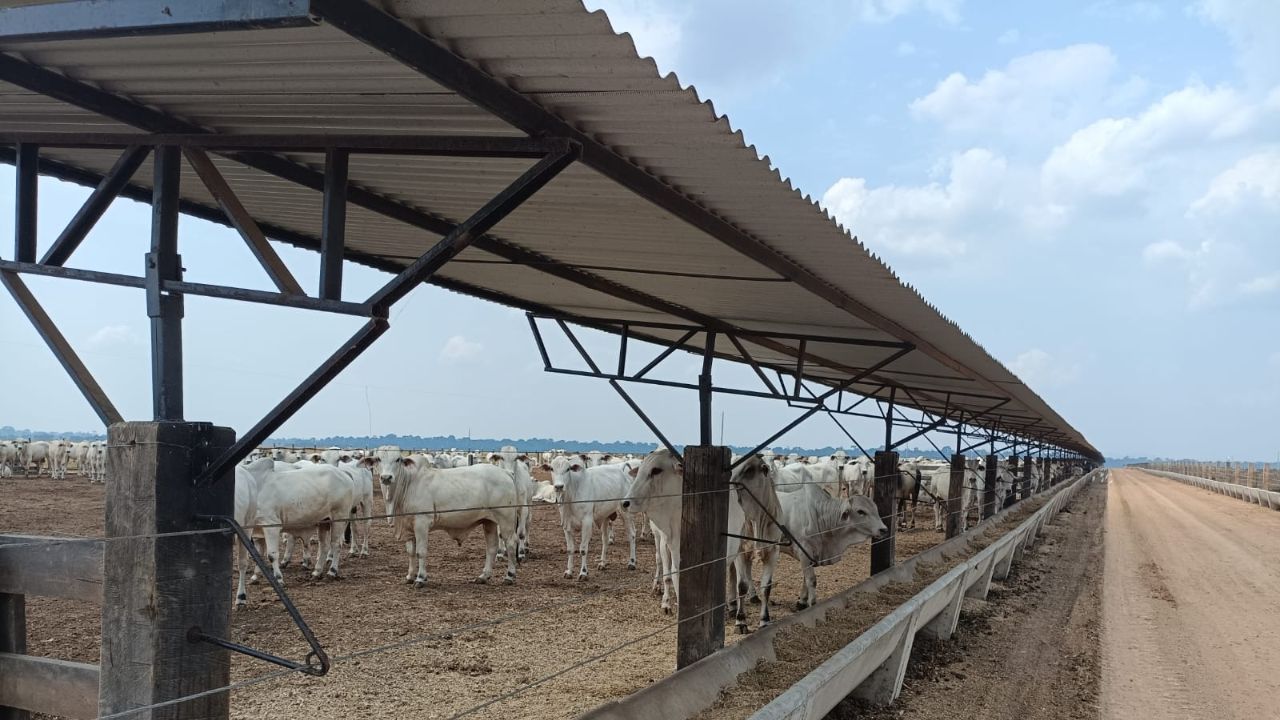 Pecuarista mostra estrutura de confinamento para 2 mil cabeças em Rondônia