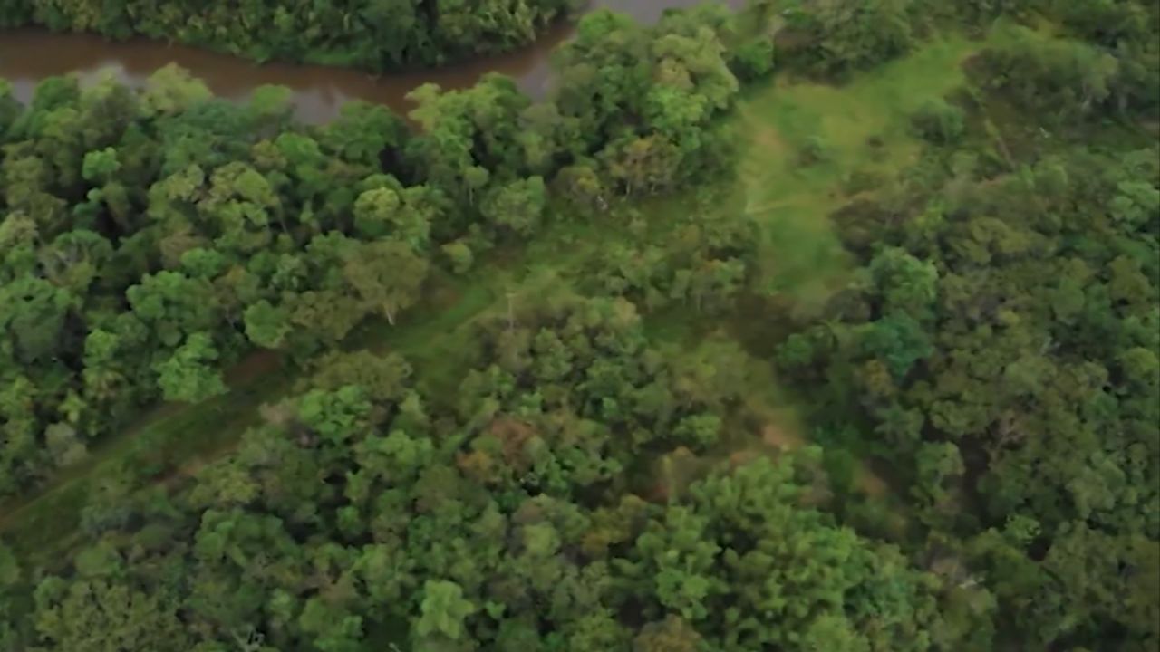 Desmatamento sem licença: saiba as consequências para o produtor rural