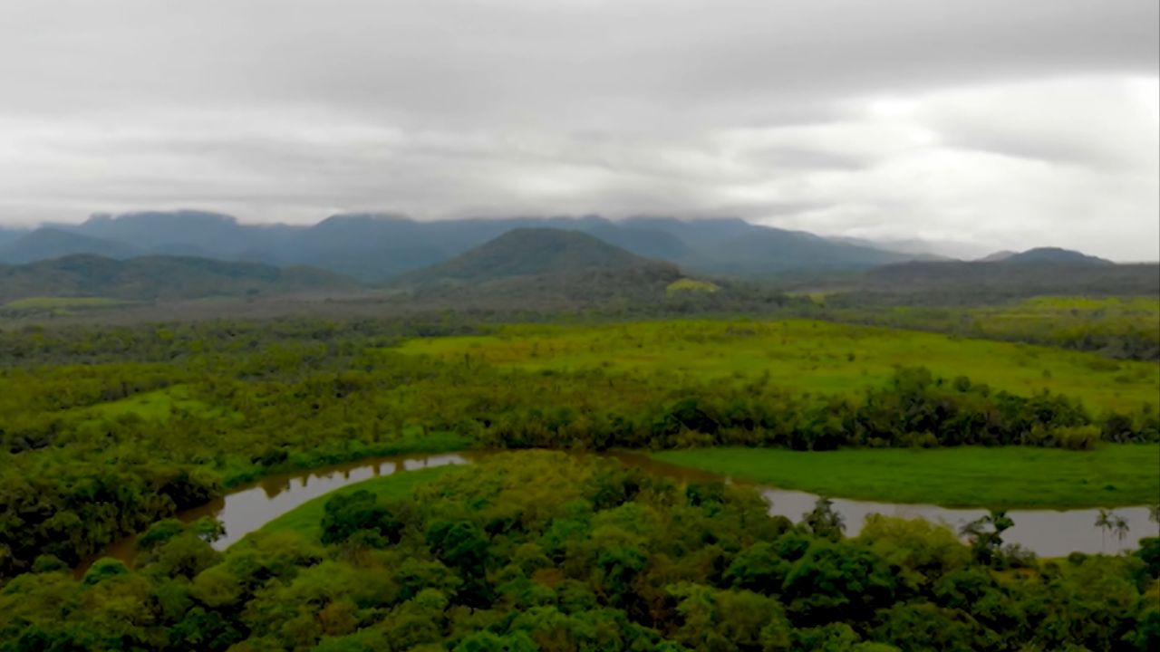 STJ decide que indenização ambiental só ocorre quando recuperação é inviável. Entenda