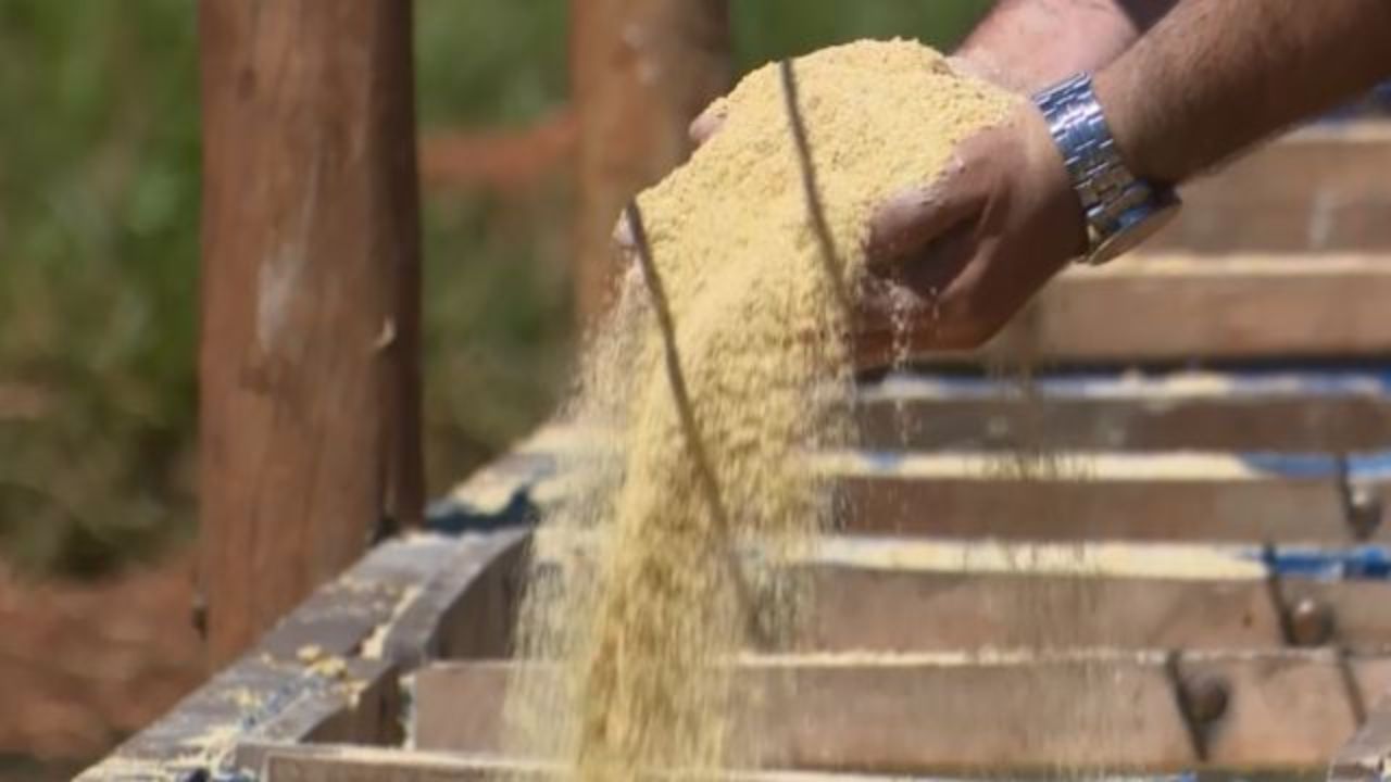 Detalhe da ração de bovinos no cocho em confinamento. Foto: Reprodução